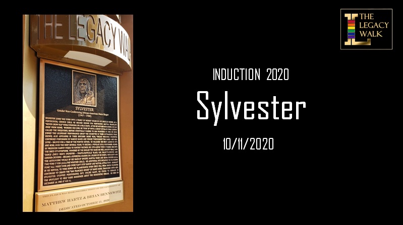 SYLVESTER VIDEO LEGACY AND INDUCTION | Legacy Project Chicago
